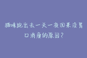 猫咪跑出去一天一夜回来没胃口消瘦的原因？