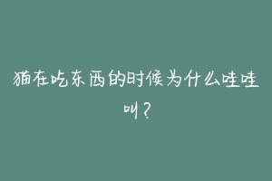 猫在吃东西的时候为什么哇哇叫？