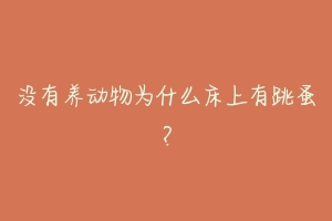 没有养动物为什么床上有跳蚤？