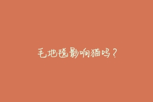 毛地毯影响猫吗？