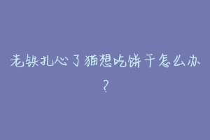 老铁扎心了猫想吃饼干怎么办？