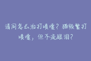 请问怎么治打喷嚏？猫频繁打喷嚏，但不流眼泪？