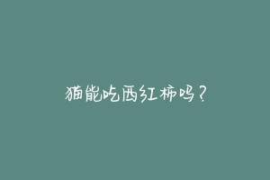 猫能吃西红柿吗？