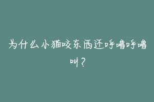 为什么小猫咬东西还呼噜呼噜叫？