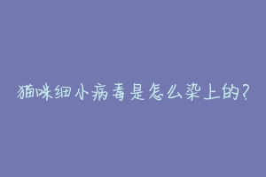 猫咪细小病毒是怎么染上的？