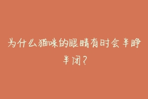 为什么猫咪的眼睛有时会半睁半闭？