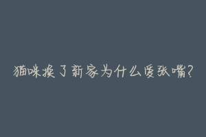 猫咪换了新家为什么爱张嘴？