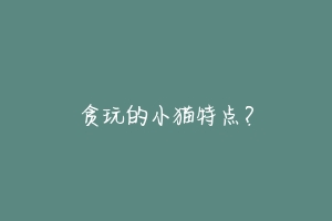 贪玩的小猫特点？