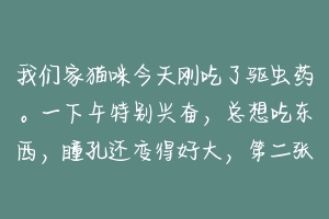 我们家猫咪今天刚吃了驱虫药。一下午特别兴奋，总想吃东西，瞳孔还变得好大，第二张正常时。怎么回事？