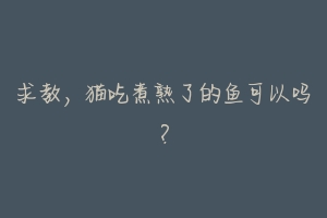 求教，猫吃煮熟了的鱼可以吗？