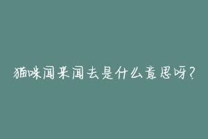 猫咪闻来闻去是什么意思呀？