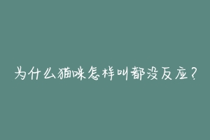 为什么猫咪怎样叫都没反应？