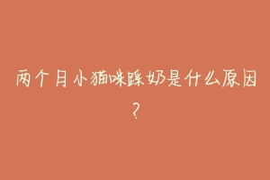 两个月小猫咪踩奶是什么原因？