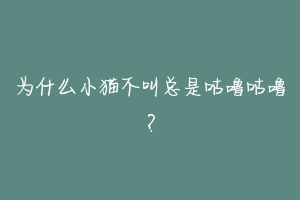 为什么小猫不叫总是咕噜咕噜？