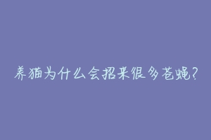 养猫为什么会招来很多苍蝇？