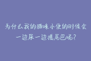 为什么我的猫咪小便的时候会一边尿一边摇尾巴呢？