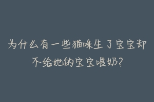 为什么有一些猫咪生了宝宝却不给她的宝宝喂奶？