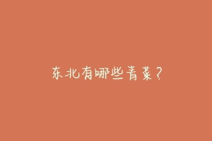 东北有哪些青菜？