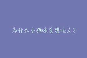 为什么小猫咪总想咬人？