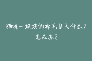 猫咪一块块的掉毛是为什么？怎么办？