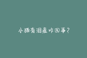 小猫有泪痕咋回事？