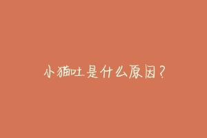 小猫吐是什么原因？