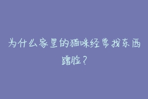 为什么家里的猫咪经常找东西蹭脸？