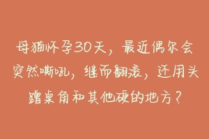 母猫怀孕30天，最近偶尔会突然嘶吼，继而翻滚，还用头蹭桌角和其他硬的地方？