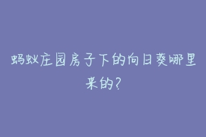 蚂蚁庄园房子下的向日葵哪里来的？