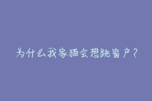 为什么我家猫会想跳窗户？