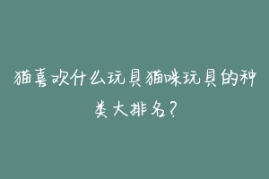 猫喜欢什么玩具猫咪玩具的种类大排名？