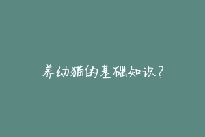 养幼猫的基础知识？