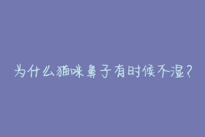 为什么猫咪鼻子有时候不湿？