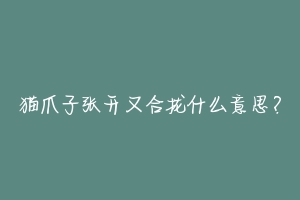 猫爪子张开又合拢什么意思？