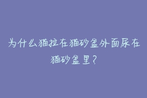 为什么猫拉在猫砂盆外面尿在猫砂盆里？