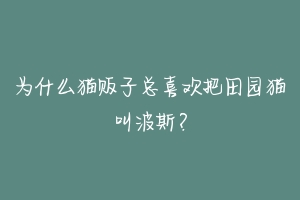 为什么猫贩子总喜欢把田园猫叫波斯？