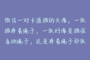 微信一对卡通猫的头像，一张猫捧着绳子，一张好像是猫准备挑绳子，这是捧着绳子那张，求另一卡通猫的图片？