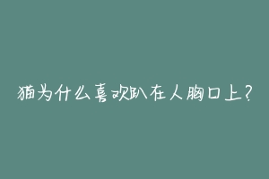 猫为什么喜欢趴在人胸口上？