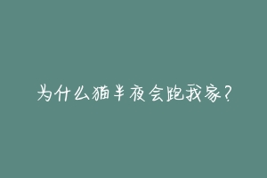 为什么猫半夜会跑我家？