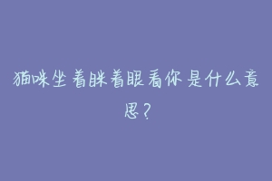 猫咪坐着眯着眼看你是什么意思？