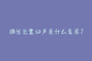 猫发出震动声是什么意思？