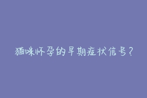 猫咪怀孕的早期症状信号？