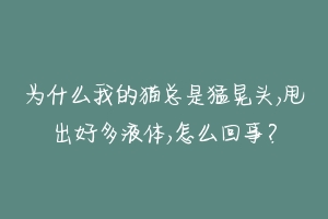 为什么我的猫总是猛晃头,甩出好多液体,怎么回事？