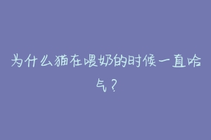 为什么猫在喂奶的时候一直哈气？