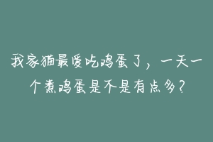 我家猫最爱吃鸡蛋了，一天一个煮鸡蛋是不是有点多？