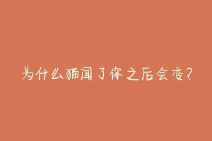 为什么猫闻了你之后会变？