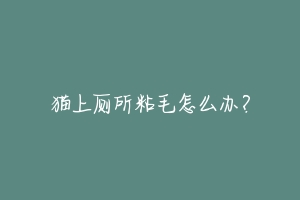 猫上厕所粘毛怎么办？