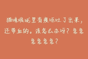 猫咪喉咙里有痰呕吐了出来，还带血的。该怎么办呀？急急急急急急？