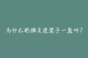 为什么把猫关进笼子一直叫？