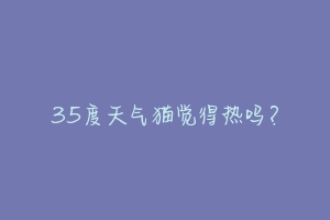 35度天气猫觉得热吗？